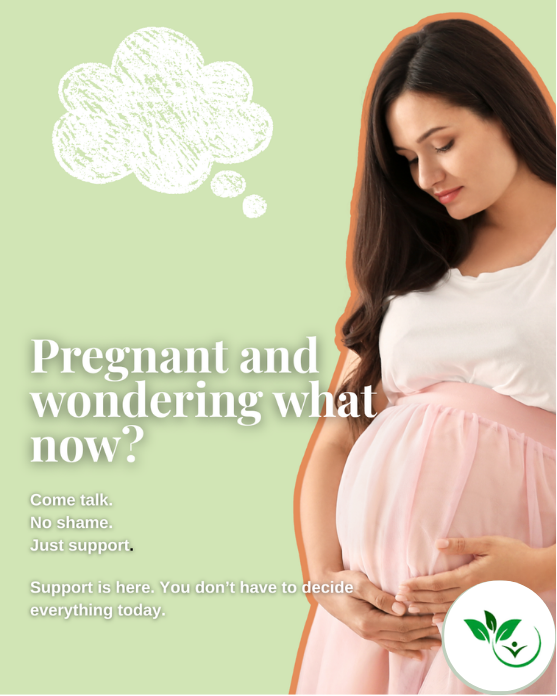 Pregnant and wondering what now Pregnant and wondering what now